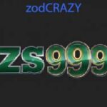 zs999 game